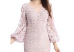 Pink Mermaid Lace European Style Evening Dresses Sexy Flattering With Back