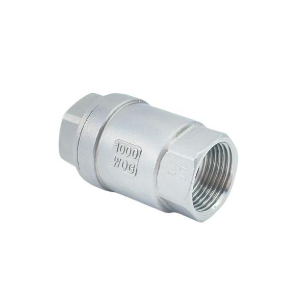 Vertical CF8M Stainless Steel 304 316 Spring Check Valve with NPT/BSPP/BSPT