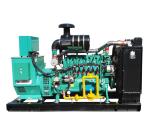 Factory Directly Supply LNG CNG Natural Gas Generator 50kw with competitive