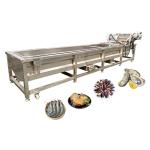 5.5kw Fresh Fruit Mango Apple Cleaning Machine Air Bubble Vegetable Washing