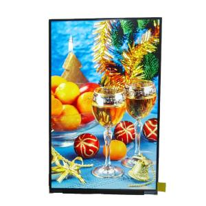 China BOE 10.1 Inch 800*1280 Laptop LCD Display MIPI Industrial LED Screen factory