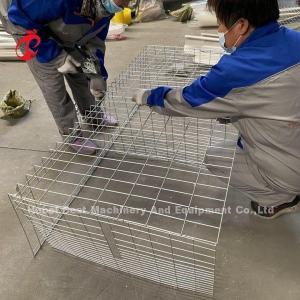 China A Or H Type Broiler Chicken Cage For Poultry Farm Doris factory