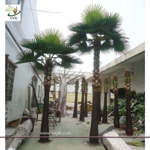 China UVG 22ft tall fake palm tree with fan leaves in dubai for park landscaping outdoor use factory