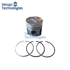 WESPC 115017491B Piston Kit for Perkins 404C-22 404D-22 404D-22T Diesel Engines