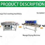 Spin Dryer Vegetable And Fruit Washing Machine Prunes Processing Machine
