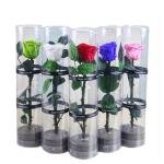 Christmas New Year Gifts Single Rose Preserved Rose Flower Stem Box in PVC