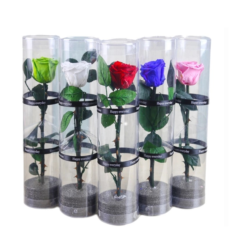 Christmas New Year Gifts Single Rose Preserved Rose Flower Stem Box in PVC Cylinder Preserved Flowers