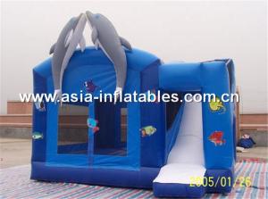 China Dolphin Inflatable Amusemnet Park Combo for Game factory