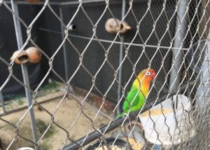 China X Tend Wire Rope Outdoor Aviary Netting Stainless Steel Anti - Corrosive factory