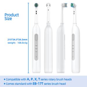 China Medium Bristle Electric Round Head Toothbrush Sonic Spin Toothbrush USB Charging factory