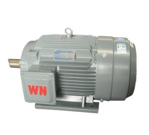 China Alternating Current 450V Three Phase Electric Motor factory