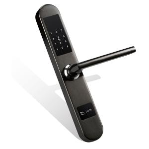 China Silver Color Aluminum Sliding Door Lock Unlock By Card And Password factory
