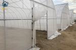Commercial Agriculture High Tunnel Green Houses Single Span Metal Frame