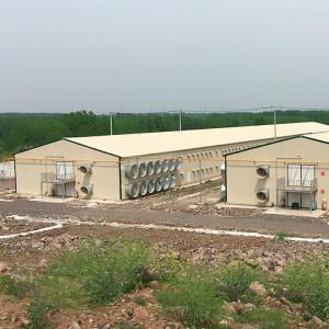 China Prefabricated Chicken Houses Customized Steel Poultry Shed Weather Resistance factory
