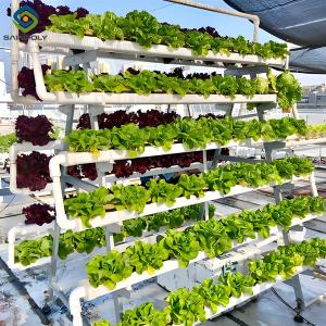 China SAINPOLY Agriculture Greenhouse Hydroponics Greenhouse Steel Frame Weather Proof factory