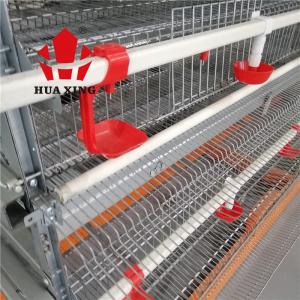 China Eco Friendly Poultry Chicken Cage 25000Layer Customized Size OEM 3 - 9 Chickens factory