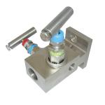 6000 Psi Instrument Manifold 200℃ 2 Way Manifold Valve 1/4 Female NPT