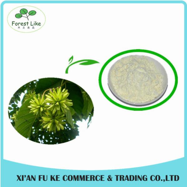 China 100% Natural Chaste Tree / Fructus Viticis Extract Powder factory