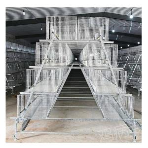 China Feeding System 256 Birds Layer Egg Chicken Cage For Laying Hens factory