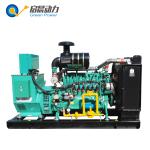 Factory Directly Supply LNG CNG Natural Gas Generator 50kw with competitive