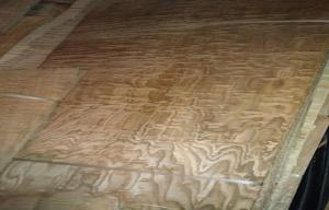 China White Ash Wood Veneer factory