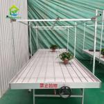 Ebb And Flow Greenhouse Rolling Bench For Seeding Vertical Grow