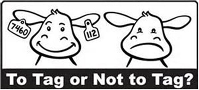 Livestock UHF Passive RFID Tags , RFID Animal Ear Tags 865MHz ~ 867MHz