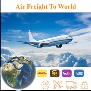 China From China Shanghai To Usa Amazon FBA Dropshipping For Global Drop Shipping on sale