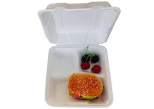China Biodegradable compostable bagasse 8inch compartment lunch paper boxes for fast food for restaurant and party use factory