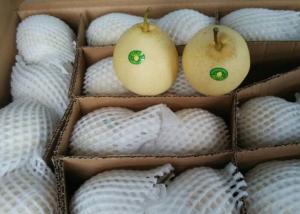 China Crisp Chinese White Pear factory