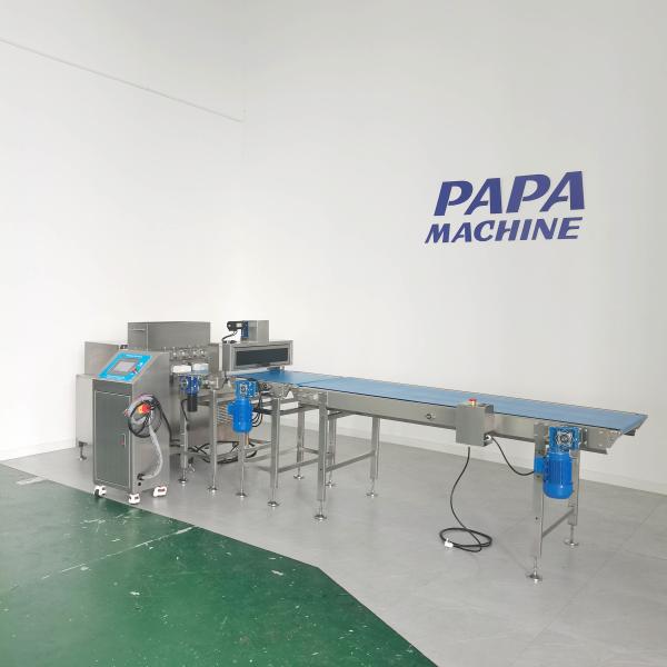 Papa Fully Automatic Multi Row Protein Bar Extruder / Extruding / Extrusion