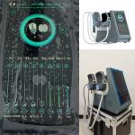 RF 100HZ EMS Muscle Stimulator Machine 100HZ For Fat Burning