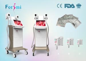 China rf cavitation slimming machine 3.5 inch Cryolipolysis Slimming Machine FMC-I Fat Freezing Machine factory
