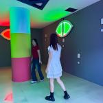 Interactive Hide Push Light Activate Game LED Green Red Team Work Game Room Evil