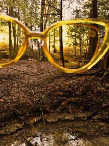 China Cat Eyes Scratch Resistant Yellow Colour Therapy Sunglasses factory
