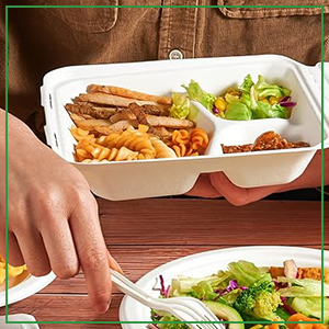 100% Compostable 3 Comp Take Out Food Containers Containers, Natural Disposable Bagasse, Eco-Friendly Biodegrad