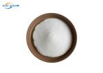 PA Heat Transfer Printing Powder Washable Co Polyamide Composition