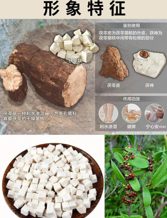 Sun Drying Poria Cocos Root Natural And Organic Fu Ling Poria