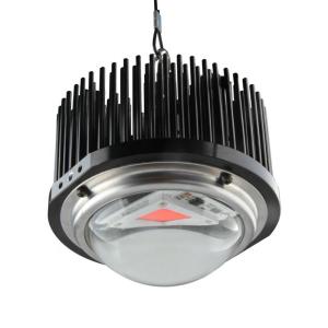 China 50W DOB Homemade Led Grow Lights , Cob 1M2 Full Spectrum Grow Light Kits factory