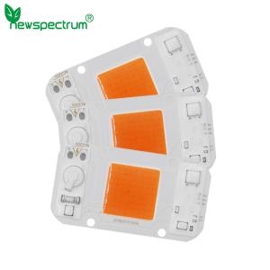 China AC 220V Dob Led Chip 50w Cool Warm White For DIY Floodlight Grow Light factory