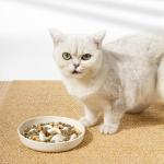 Designer Slow Feed Pet Bowls - Stylish and Functional for Modern Pet Owners
