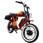 20 Inch Dual Motor Electric Bicycle 7 Speed Full Color Display Fat Tyre Electric