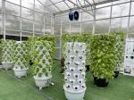 10x30m Side Ventilation Single Span Tunnel Agricultural PC Greenhouse with
