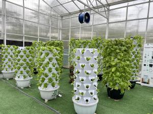 China 10x30m Side Ventilation Single Span Tunnel Agricultural PC Greenhouse with hydroponic tower factory