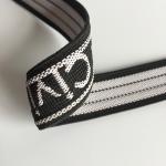 safety belt
