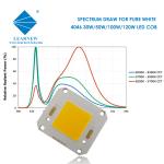 COB LED CHIP High Power 4046 50W 100W 150W 200W Diode for Street Flood Light
