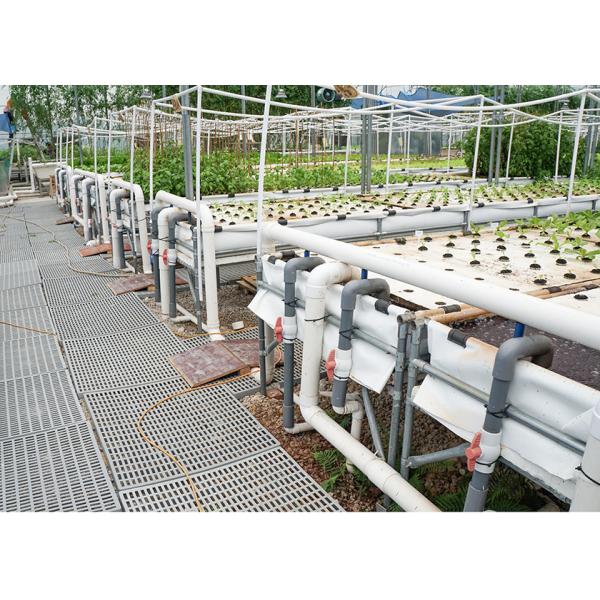 China Auto Circulation PH Stable Dwc Grow System Deep Water Hydroponics factory