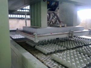 China Small Scale Pulp Packaging Machine factory