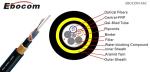 China factory price g652d 16 core double sheath adss fiber optic cable