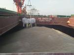 Bulk Dried Wheat Gluten Pellet In 4mm Cylindrical Safe Easy to Transport